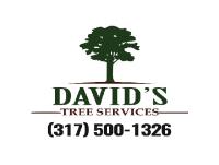 David's Tree Services image 2